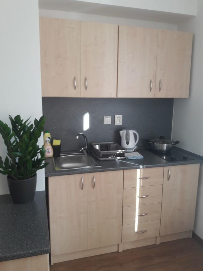 Apartmany Lipa ตาบอร์ ภายนอก รูปภาพ